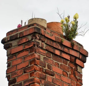 chimney sweep and chimney repair pros in louisville ky